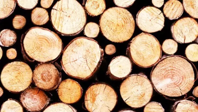 【重要通知】木材成本持续上涨，家具涨价已成定局！